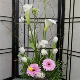 fwthumbP1060872 (427x640).jpg